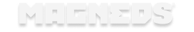 MAGNEDS small logo